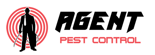 Pest Control Colchester